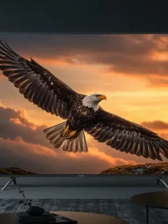 Modern 8K TV in living room showing high-resolution content