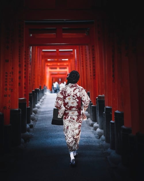 Japanese Historical Dramas in the US: Unveiling the Hype
