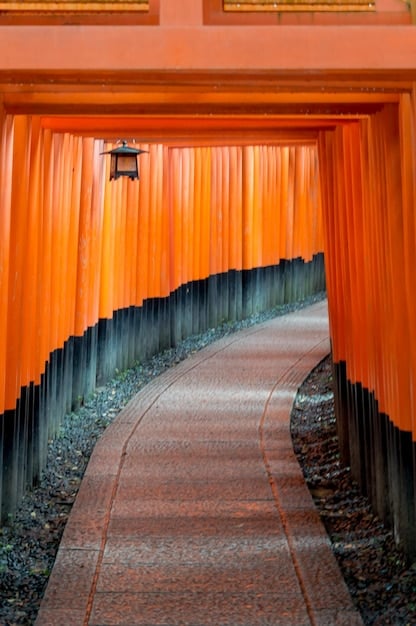 A panoramic view of Kyoto's Fushimi Inari Shrine with its iconic thousands of vermillion torii gates winding up the mountain, a popular filming location for historical and contemporary Japanese dramas.