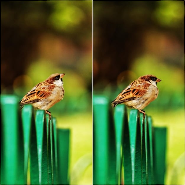 A split screen showing two images: on the left, a high-resolution, clear image from a streaming service, and on the right, a pixelated, low-quality image from the same service. A hand is reaching out to adjust the settings on a device.