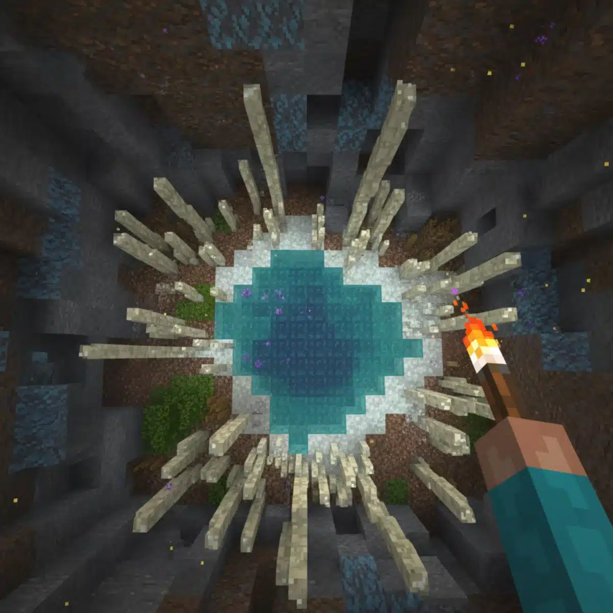 Overhead view of lush cave biome